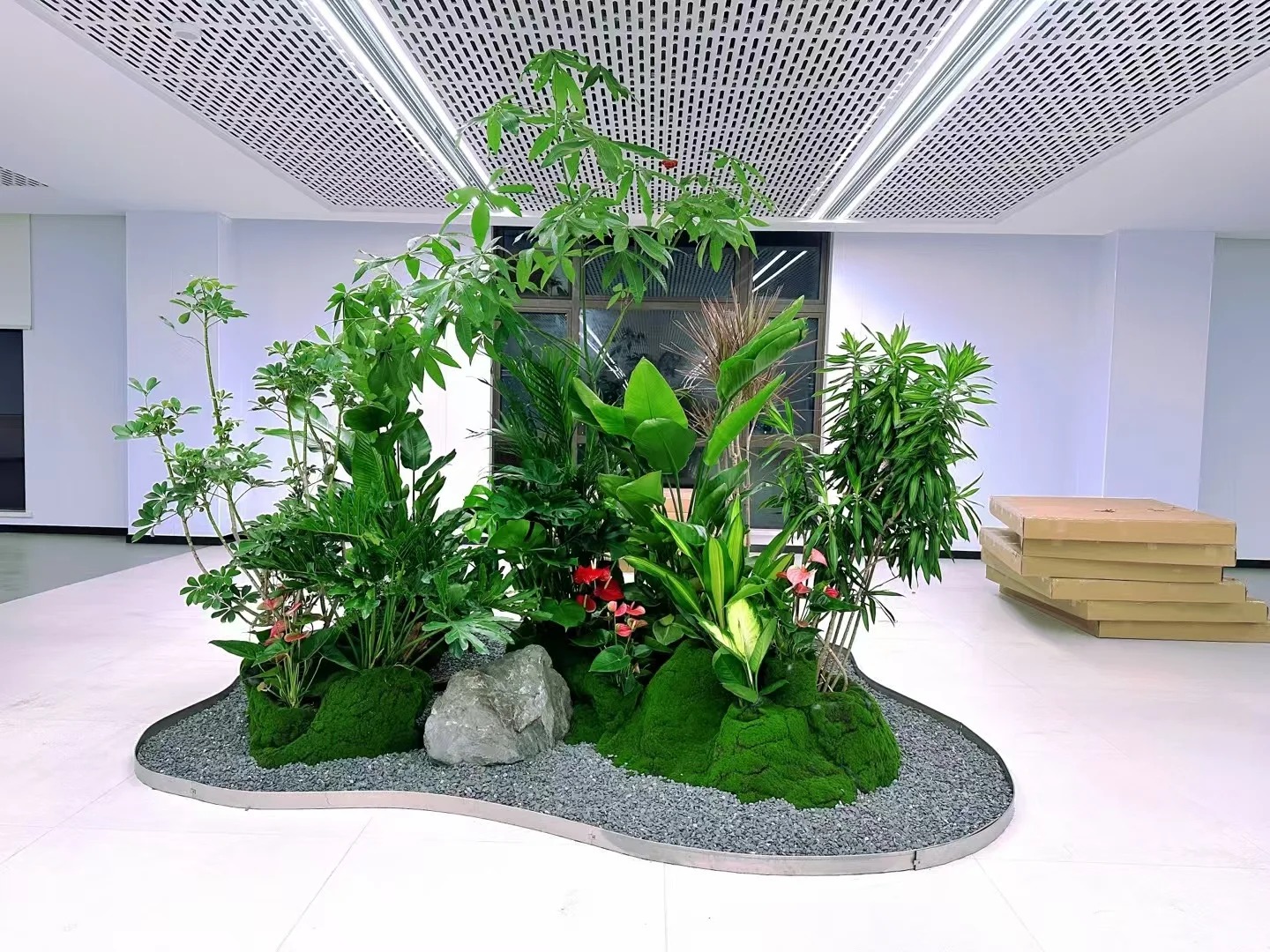 价格实惠的宁波江北绿植租赁，为您的生活增添绿意！