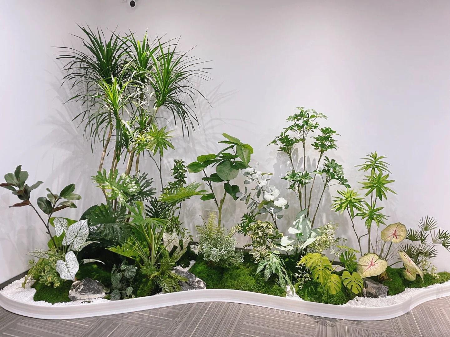 价格实惠的宁波江北绿植租赁，为您的生活增添绿意！